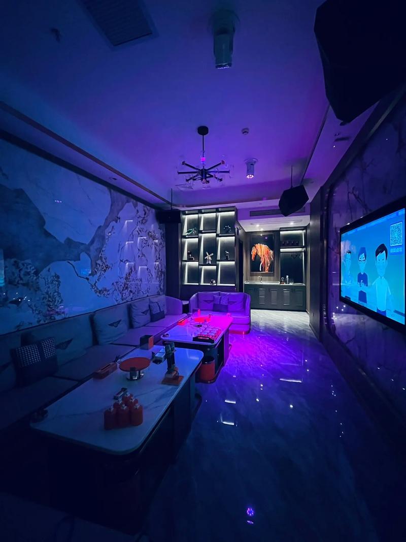 南京商务KTV，商务KTV有哪些选择？-建邺区ktv预订